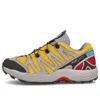 Salomon Xa Pro 1 Advanced 'grey' In Multi