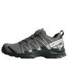 Salomon Xa Pro 3d Gore-tex 'pewter Silver Cloud' In Gray