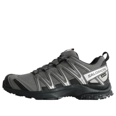 Salomon Xa Pro 3d Gore-tex 'pewter Silver Cloud'