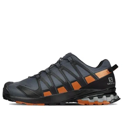 Salomon Xa Pro 3d V8 Gtx Wide 'grey Brown' In Black