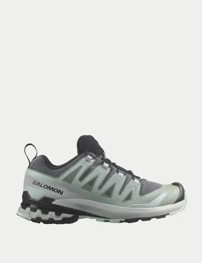 Salomon Xa Pro 3d V9 In Grey