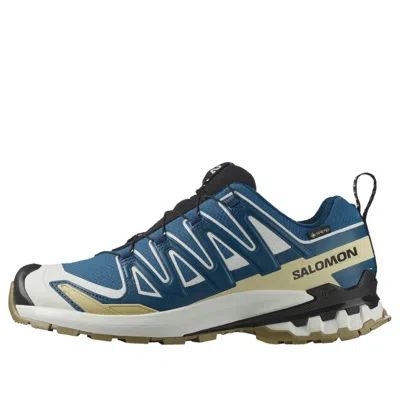 Salomon Xa Pro 3d V9 Gtx 'dark Blue Icicl' In Multi