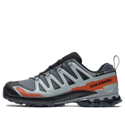 Salomon Xa Pro 3d V9 Gtx 'grey Light Blue' In Multi