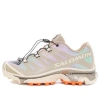 Salomon Xt-4 Og 'aurora Borealis Shortbread' In Multi