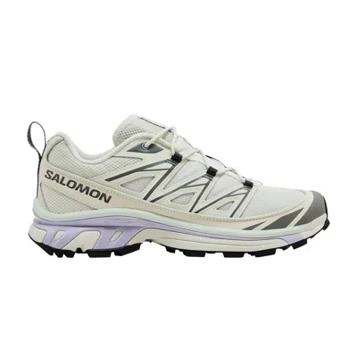 Pre-owned Salomon Xt-6 Expanse 'icicle' | Grey | Men's Size 10.5