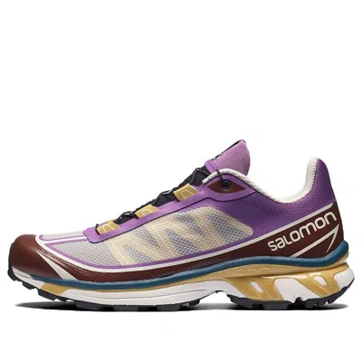 Salomon Xt-6 Ft 'grey Purple Brown' In Multi