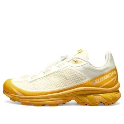 Pre-owned Salomon Xt-6 Ft 'vanilla Buckskin' 471514 In White