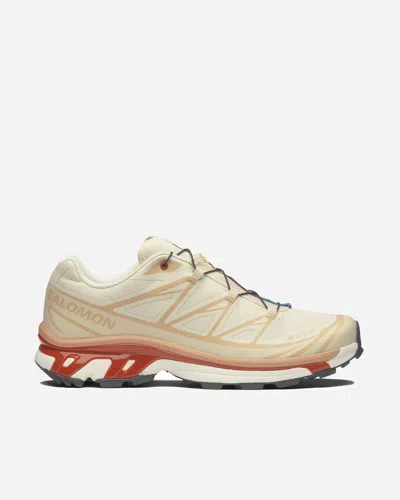 Salomon Xt-6 Gore-tex | Beige | Size: