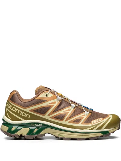 Salomon Xt-6 "lizard Eden" Sneakers In Brown
