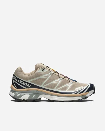 Salomon Xt-6 Oxford In Brown