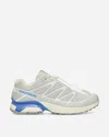 Salomon Xt Pathway 2 Sneakers In Neutral