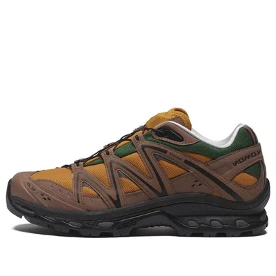 Salomon Xt-quest 75 In Brown
