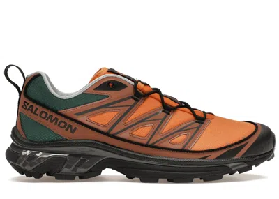 Pre-owned Salomon Xt6 Expanse 75th Anniversary Sneakers In Golden Oak/acorn/black