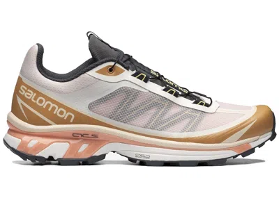 Pre-owned Salomon Xt6 Ft Sneakers In Morganite/fenugreek/black In Multi