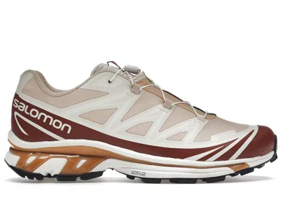 Pre-owned Salomon Xt6 Goretex Kith Sneakers In Hazelnut/burnt Henna/vanilla Ice
