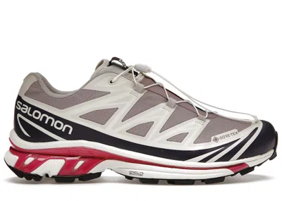 Pre-owned Salomon Xt6 Goretex Kith Sneakers In Quail/moonscape/vanilla Ice