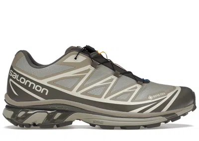 Pre-owned Salomon Xt6 Goretex Sneakers In Vintage Khaki/major Brown/turtledove In Multi