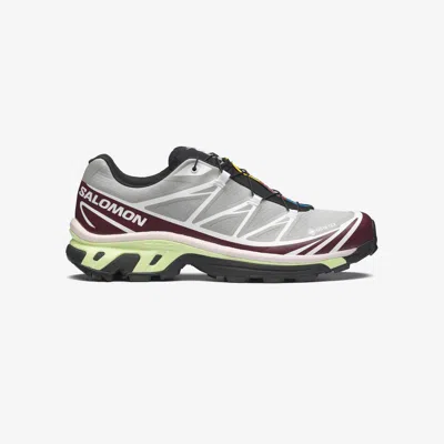 Salomon Xt-6 Gtx In Multi
