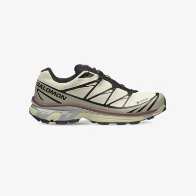 Salomon Xt-6 Gtx In Neutral