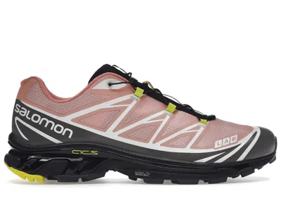 Pre-owned Salomon Xt6 Sneakers In Blooming Dahlia/monument/black