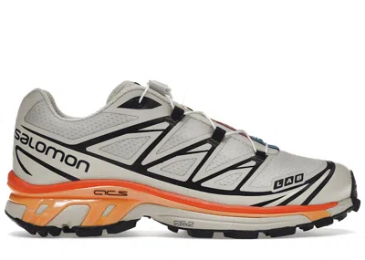 Pre-owned Salomon Xt6 Sneakers In Rainy Day/delicioso/vibrant Orange In Multi