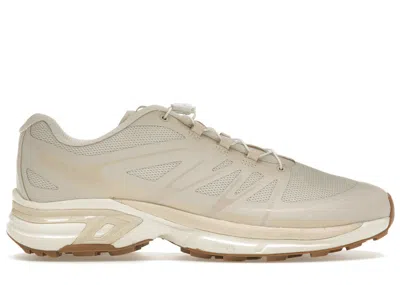 Pre-owned Salomon Xtwings 2 Sneakers In Rainy Day/bleached Sand/vanilla Ice In Multi