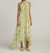 Saloni Irinia Dress In Terrarium Lemon In Green