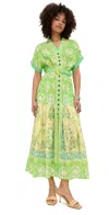 Saloni Riya B Dress Cicchetti Lime