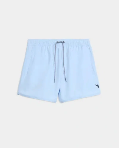 Salt Life Better Daze Aquatrunks In Blue