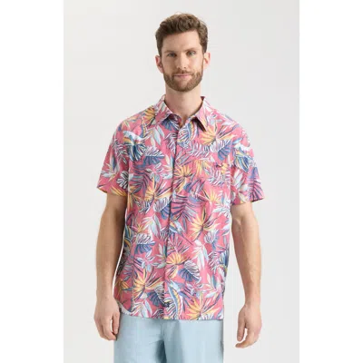 Salt Life Canopy Short Sleeve Button Down In Multi
