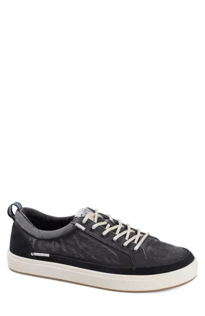 Salt Life The Coast Sneaker In Black