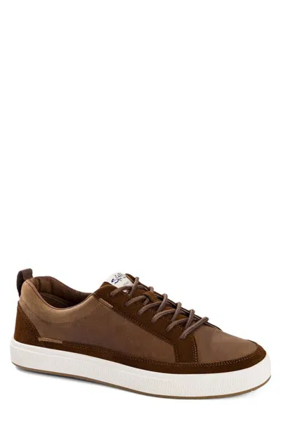 Salt Life The Coast Sneaker In Brown
