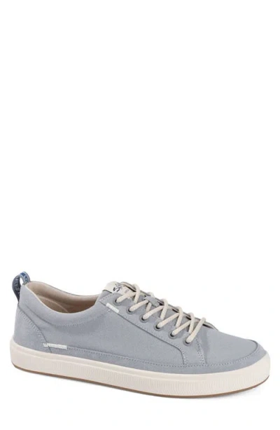 Salt Life The Coast Sneaker In Gray