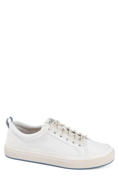 Salt Life The Coast Sneaker In White