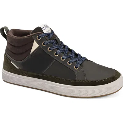 Salt Life The Hightide Sneaker In Olive