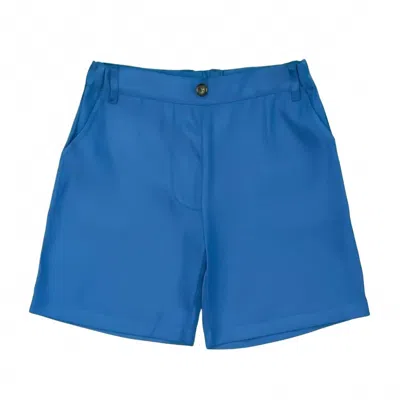 Saltwater Boys Co. Kids' Boy's Ponce Performance Shorts In Blue