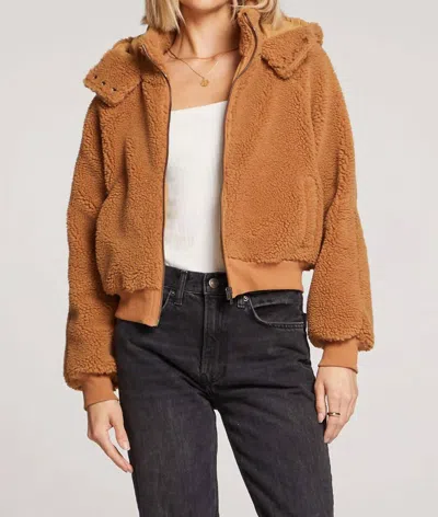 Saltwater Luxe Alamoso Camel Jacket In Brown