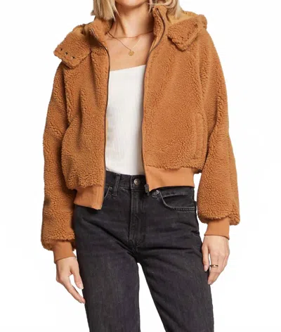 Saltwater Luxe Alamoso Teddy Bear Jacket In Camel In Burgundy