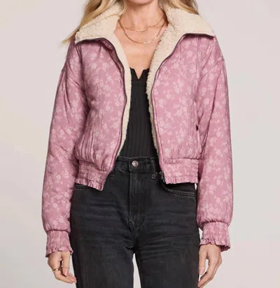 Saltwater Luxe Amber Jacket In Mauve In Multi