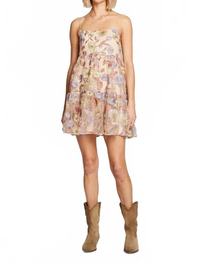 Saltwater Luxe Calder Mini Embroidered Dress In Beige In Neutral