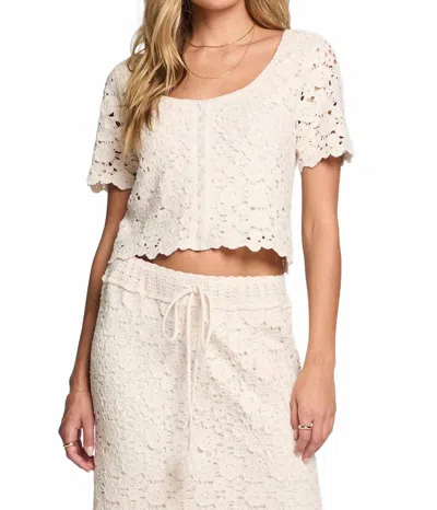 Saltwater Luxe Coralyn Scooped Neck Top In Beige In Neutral