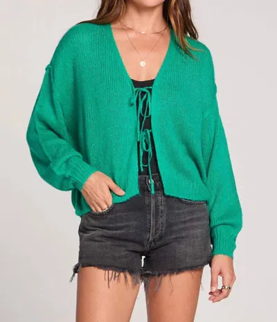 Saltwater Luxe Ellyn Sweater In Green