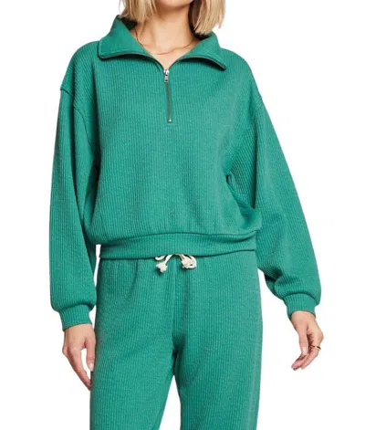 Saltwater Luxe Essential Half Zip Pullover In Alpine In Green