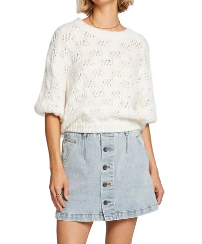 Saltwater Luxe Frank Sweater In Natural In Neutral