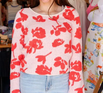 Saltwater Luxe Hava Long Sleeve Sweater In Ruby In Pink