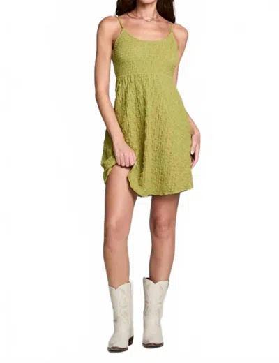 Saltwater Luxe Jazmyn Mini Dress In Fern In Green