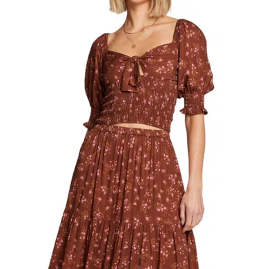 Saltwater Luxe Karington Top In Brown In Multi