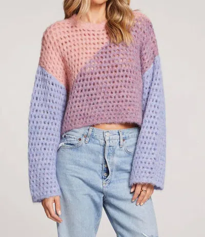 Saltwater Luxe Kourt Sweater In Multi-colored In Purple
