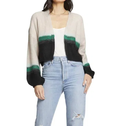 Saltwater Luxe Lanette Sweater In Multi