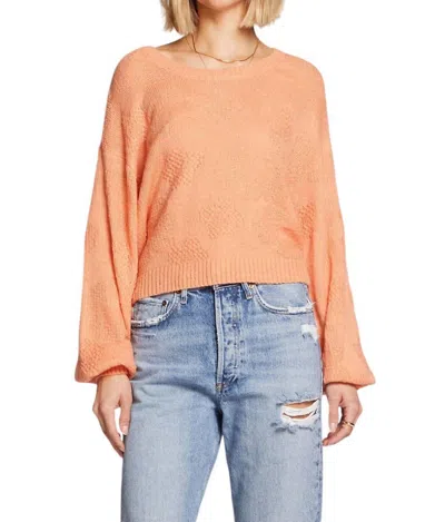 Saltwater Luxe Mimi Sweater In Orange